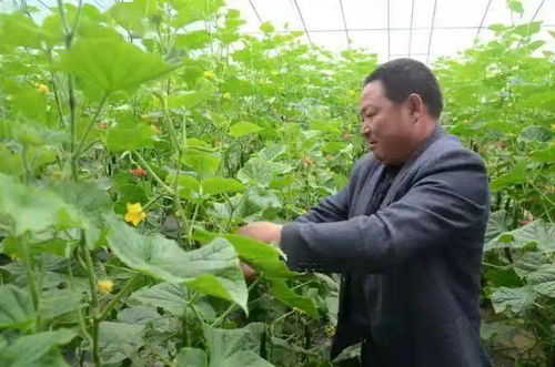 临沂市 狠抓质量安全监管与执法 筑牢农产品安全生产防线