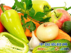 9月6日农产品批发价格指数解析 市场动态与趋势展望