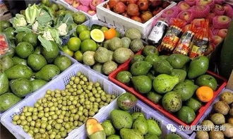 农产品上行之路 成功需破解的八大关键问题