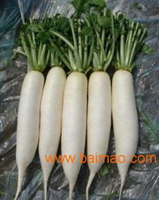 福万家科技 打造山东农产品高效流通新平台